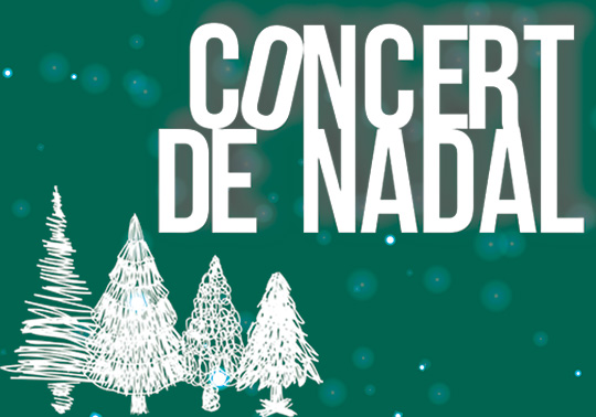 Concert de Nadal. Concert of the Philarmonic Orchestra of the Universitat de València. 15/12/2019. Auditori Vicent Torrent. (Torrent). 19.00h